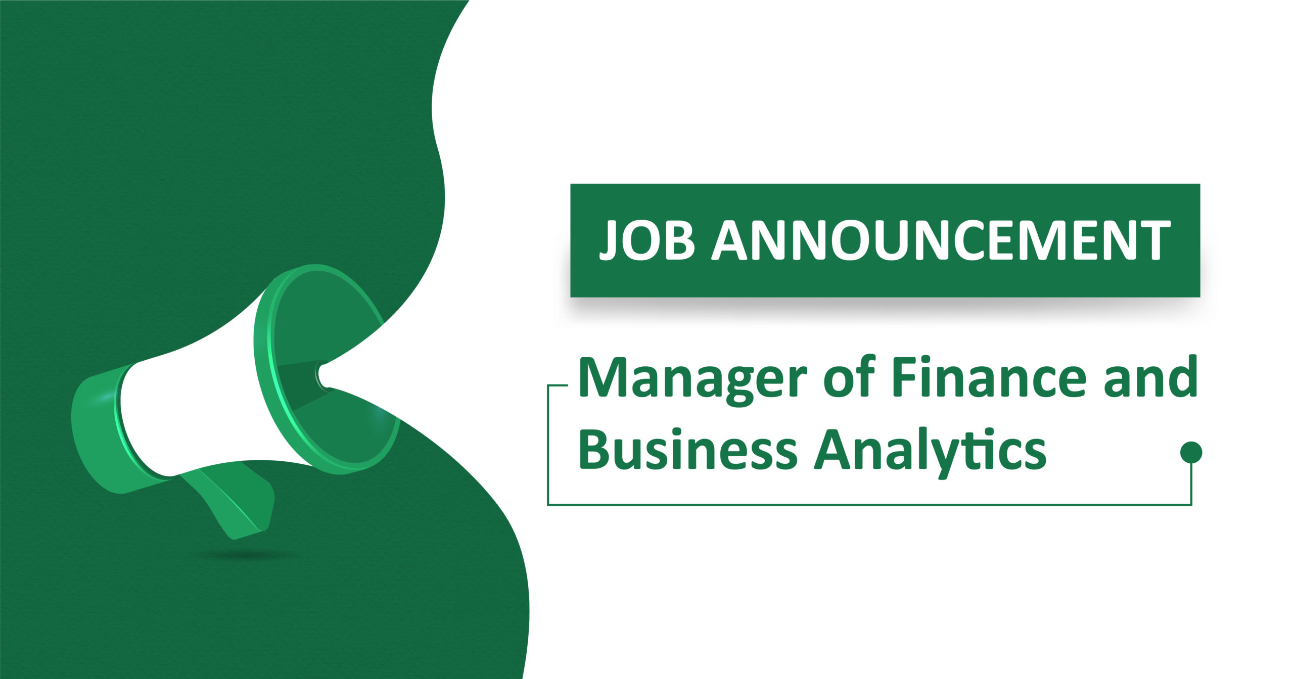 Manager of Finance and Business Analytics
