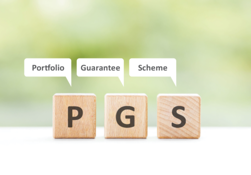 Understanding CGCC Portfolio Guarantee Scheme